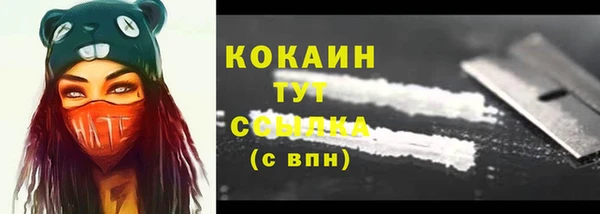 apvp Козельск