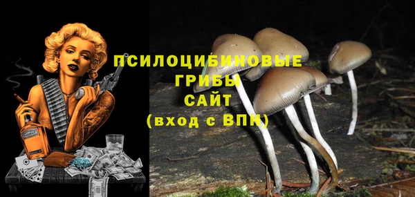 apvp Козельск
