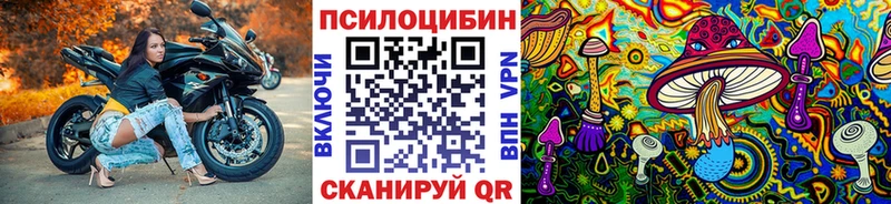 купить закладку  Лодейное Поле  Псилоцибиновые грибы ЛСД 