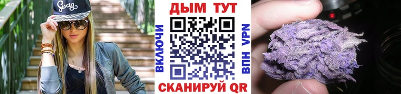 Каннабис OG Kush  Лодейное Поле 